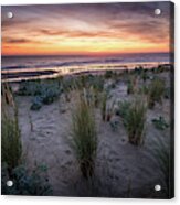 The Dunes In The Sunset Light Acrylic Print