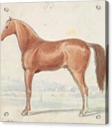 The English Race-horse, Charles Acrylic Print