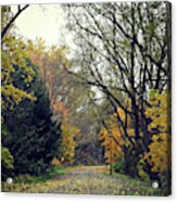 The Lonely Path Acrylic Print
