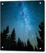 The Milky Way Rises Over The Pine Trees Acrylic Print