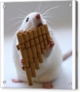 The Panflute. Acrylic Print