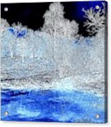 The  Pond In  Winter. Acrylic Print