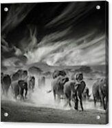 The Sky, The Dust And The Elephants Acrylic Print