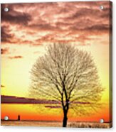 The Tree Acrylic Print