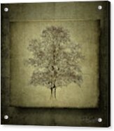 This Tree Is On The Square Acrylic Print