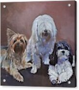 Three Amigos Acrylic Print