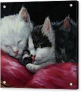 Three Little Kittens Acrylic Print