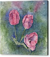 Three Pink Tulips Watercolor Batik Acrylic Print