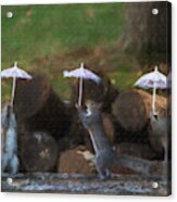 Three Squirrels Holding Their Umbrellas    Paintography Acrylic Print