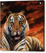 Tiger Acrylic Print