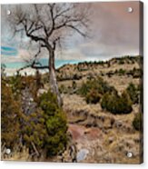 Timber Creek Ranch Acrylic Print