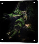 Tree Samurai Acrylic Print