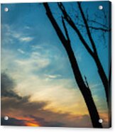 Tree Silhouettes At Sunrise Acrylic Print