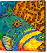 Triggerfish And Brain Coral Acrylic Print