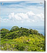 Tropical Island Super Panorama Lush Acrylic Print