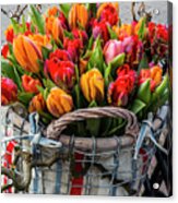 Tulip Bouquet In Basket Acrylic Print