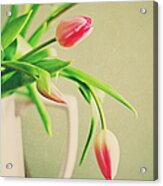 Tulip Buds In White Vase Acrylic Print