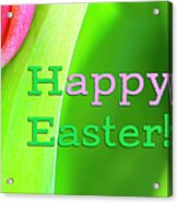 Tulip Happy Easter Card Acrylic Print