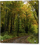 Tunnel Of Trees Acrylic Print