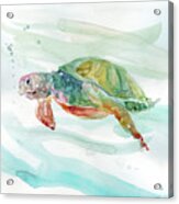 Turtle Tropics 2 Acrylic Print