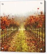 Tuscany Vineyards - 19 Acrylic Print