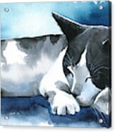 Tuxedo Dream Cat Painting Acrylic Print