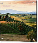 Typical Landscape In The Tuscany Acrylic Print