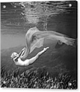 Underwater Dance Acrylic Print