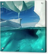 Underwater Iceberg, Antarctic Peninsula Acrylic Print