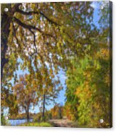 Autumn Lake And Trees Acrylic Print