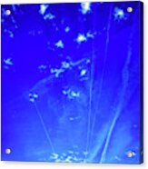 Vapor Trails In Sky Acrylic Print