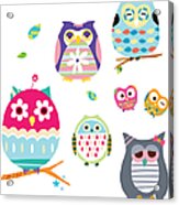 Various Owls Acrylic Print