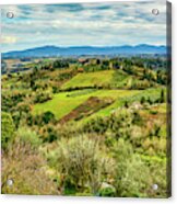 Verdant Tuscan Springtime Acrylic Print