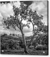 View From Juniper In Black And White 1302bw Acrylic Print
