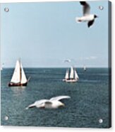 View Of Sea, Seagulls And Sailboats Acrylic Print