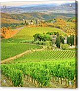 Vineyard Sunset Landscape From Tuscany Acrylic Print