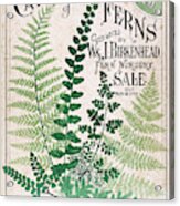 Vintage Botanical Ferns Acrylic Print