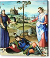 Vision Of A Knight, C1504. Artist Acrylic Print