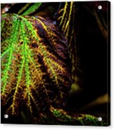 Vivid Veins Of Green Acrylic Print