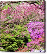 Walk In Spring Eden. Pink Branch Acrylic Print