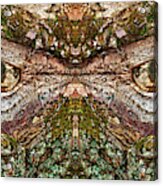 Watcher  In The Wood #1 - Human Face And Eyes Hiding In Mirrored Tree Feature- Green Man Acrylic Print