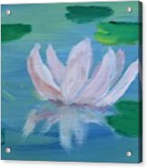 Water Lily Acrylic Print