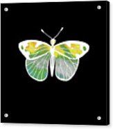 Watercolor Butterfly On Black Iii Acrylic Print