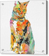 Watercolor Cat On Table A Acrylic Print