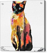 Watercolor Cat On Table C Acrylic Print