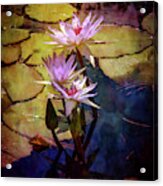 Waterlily Bouquet 2922 Idp_6 Acrylic Print