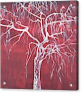 Weeping Red Acrylic Print