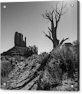 West Mitten And Dead Juniper - Monument Valley Acrylic Print