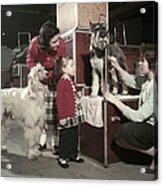 Westminster Kennel Club Dog Show Acrylic Print