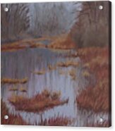 Wetland, Kensington Acrylic Print